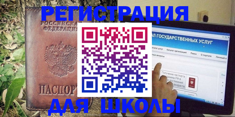 прописка для школы в Новомосковске